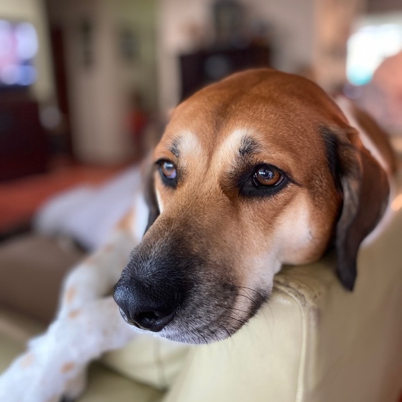 Meet your Posher, Nan - Picture 7 of 10